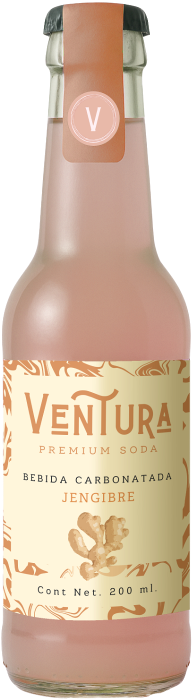 Ventura Ginger